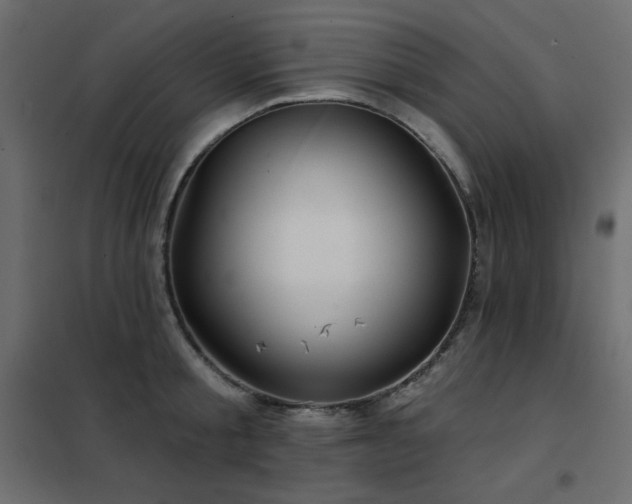 X0000102540805200808081520