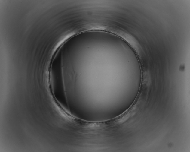 X0000102540806200808081520