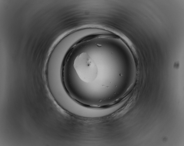 X0000102540807200808081520