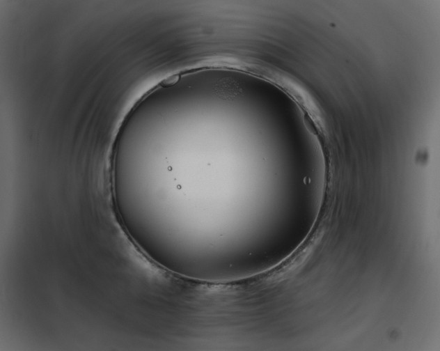X0000102540808200808081520