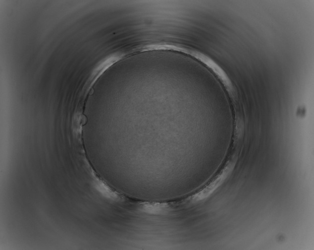 X0000102540809200808081520