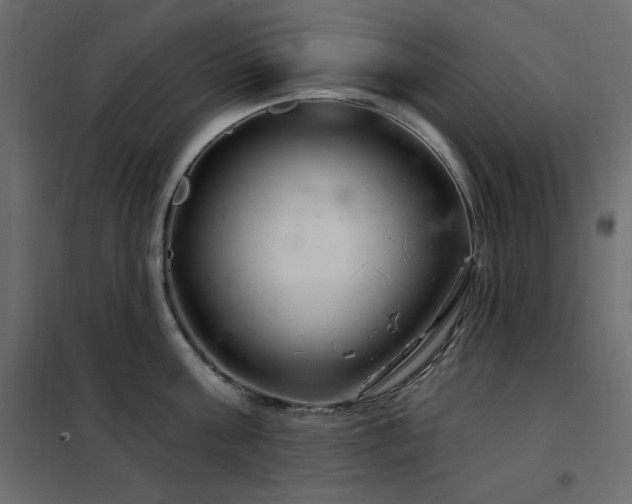 X0000102540811200808081520