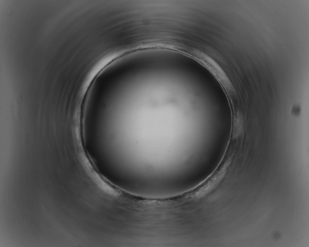 X0000102540812200808081520