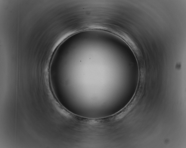 X0000102540814200808081520