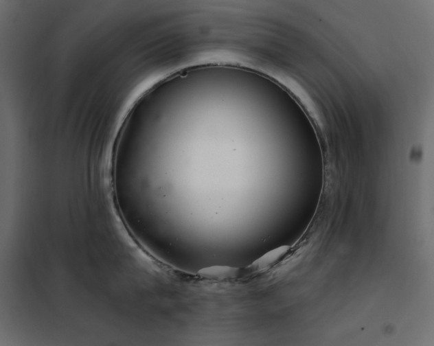 X0000102540815200808081520