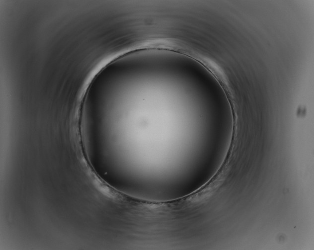X0000102540816200808081520