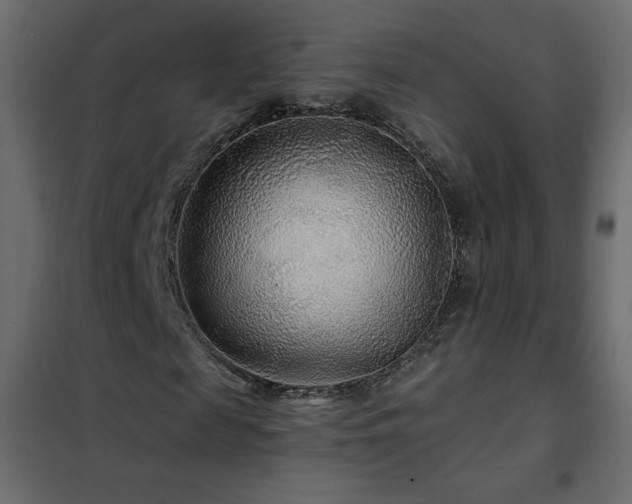 X0000102540817200808081519