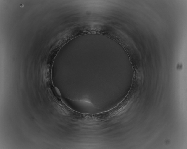 X0000102540818200808081519