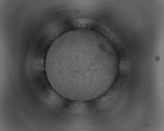 X0000102540820200808081519