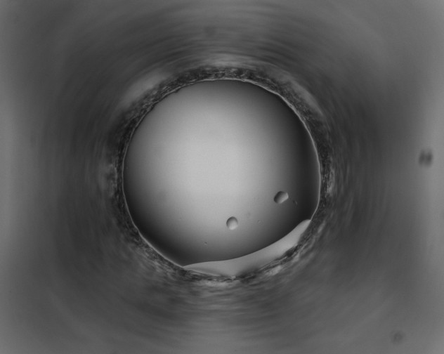 X0000102540821200808081519