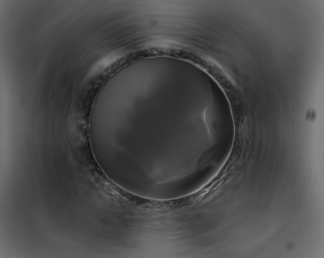 X0000102540822200808081519