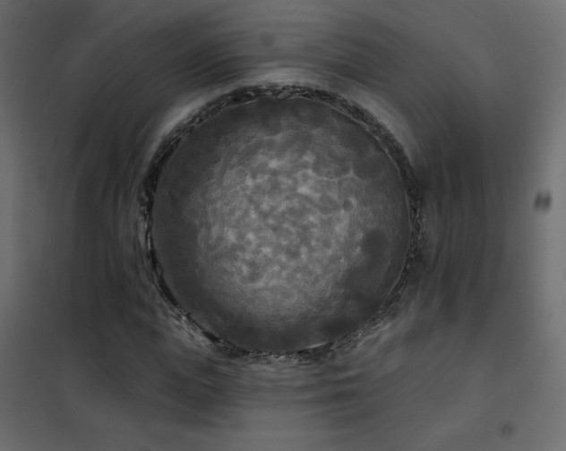 X0000102540823200808081519