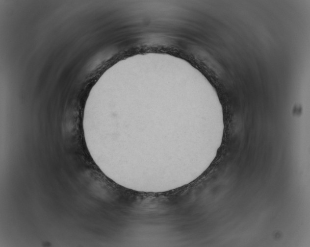 X0000102540824200808081519