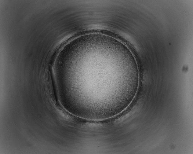 X0000102540825200808081519