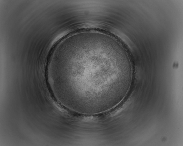 X0000102540826200808081519