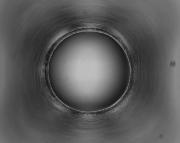 X0000102540827200808081519