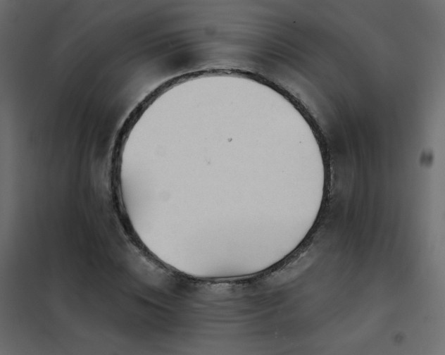 X0000102540828200808081519