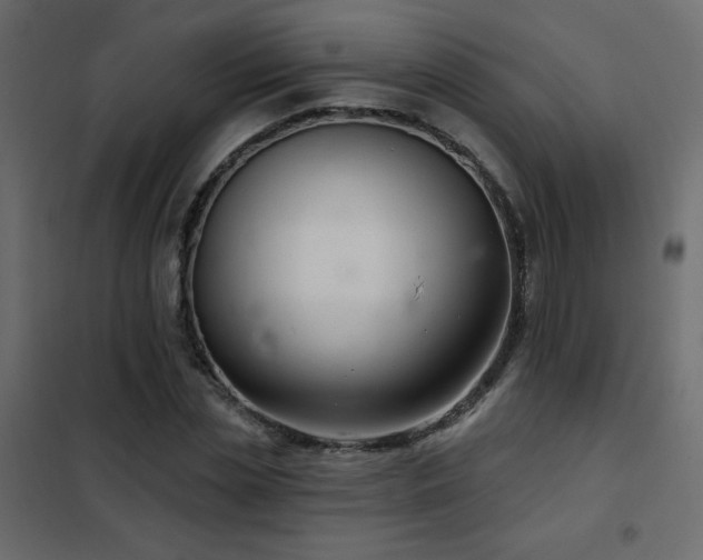 X0000102540829200808081519