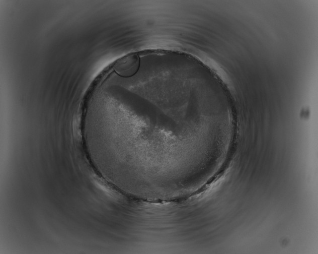 X0000102540830200808081519
