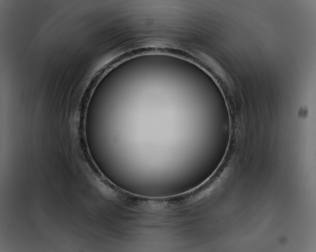 X0000102540831200808081519