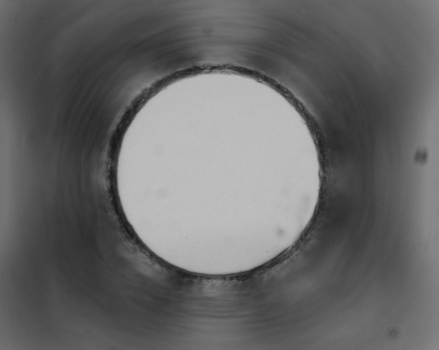 X0000102540832200808081519