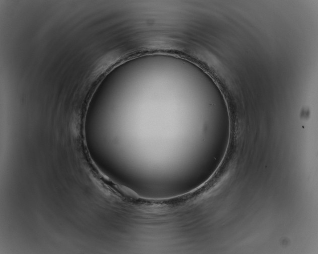 X0000102540833200808081519