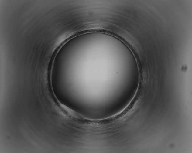 X0000102540834200808081519