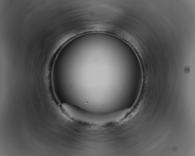X0000102540835200808081519