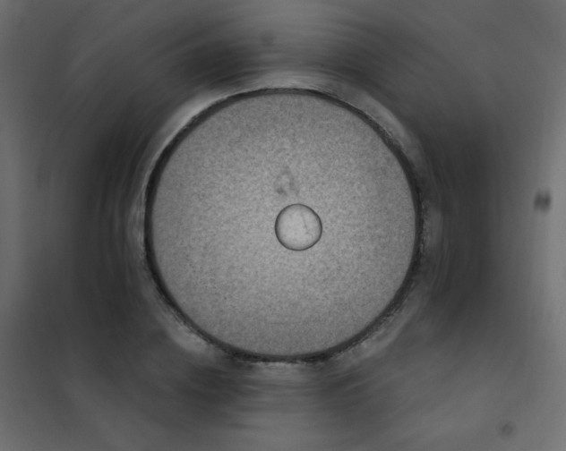 X0000102540836200808081519