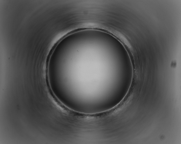 X0000102540839200808081519