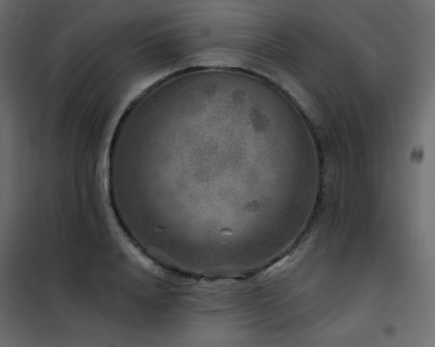 X0000102540840200808081519