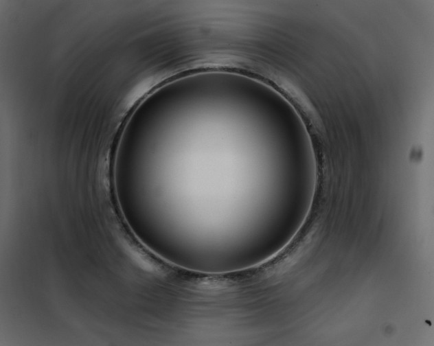 X0000102540842200808081519