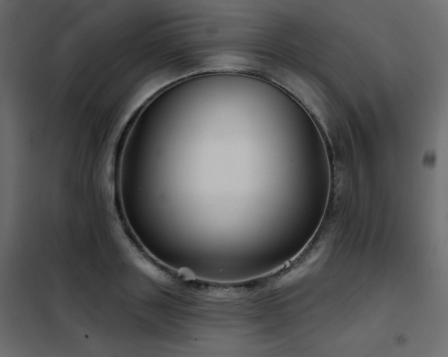 X0000102540843200808081519