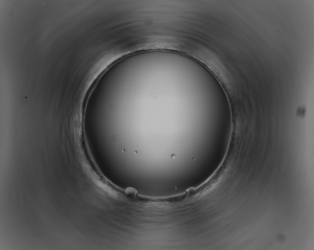 X0000102540844200808081519