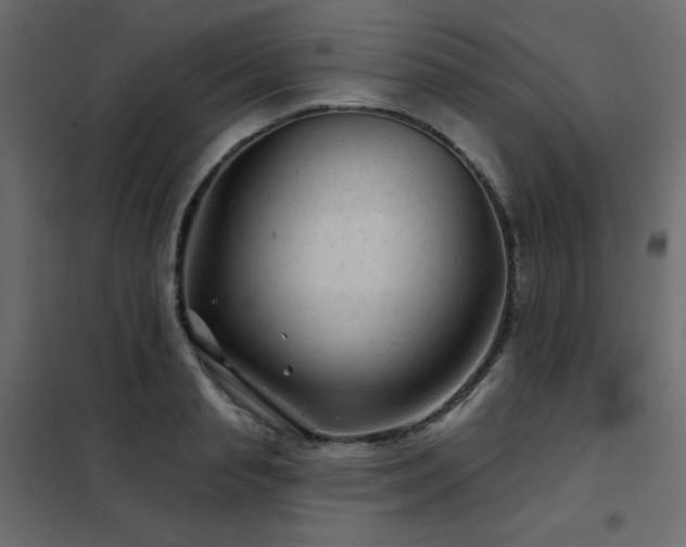 X0000102540845200808081519