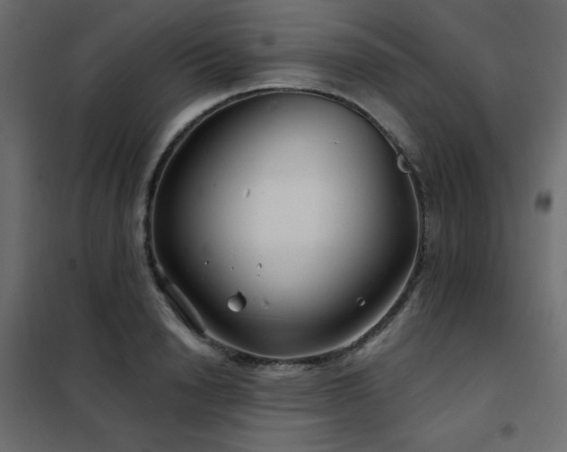X0000102540846200808081519
