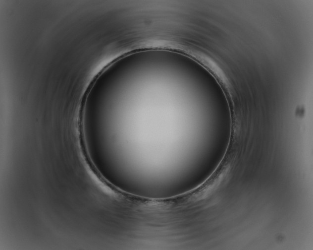 X0000102540847200808081519