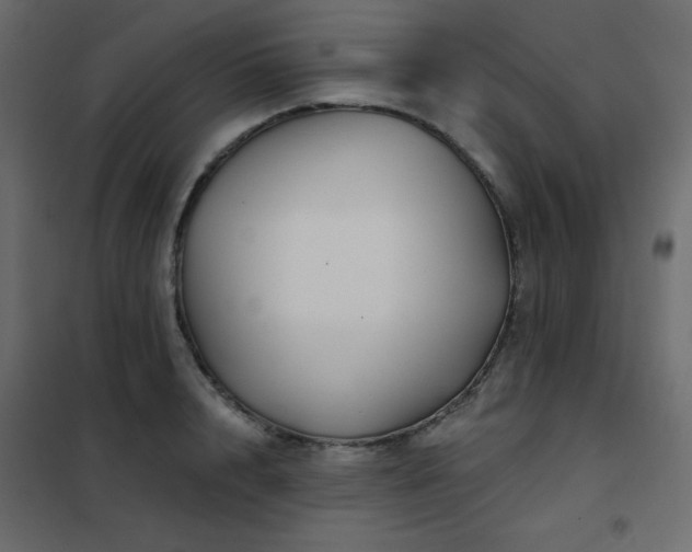 X0000102540848200808081519