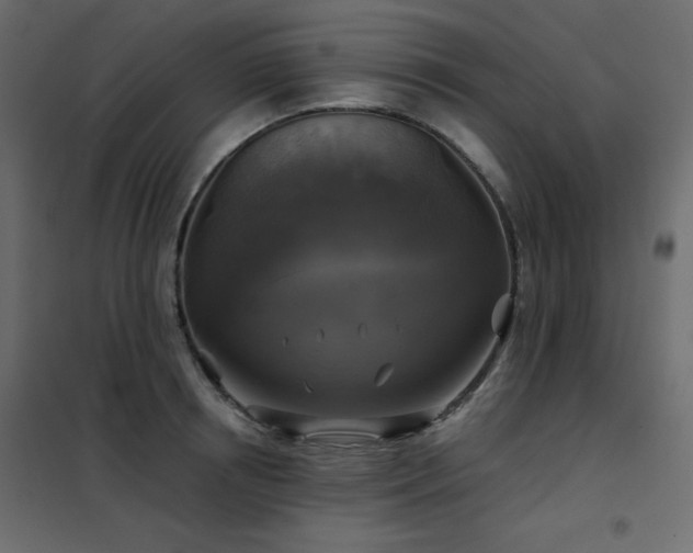 X0000102540850200808081520