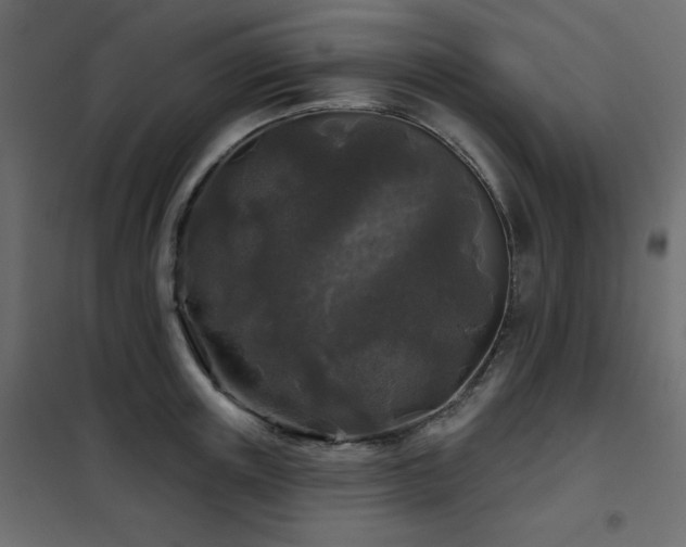 X0000102540851200808081520