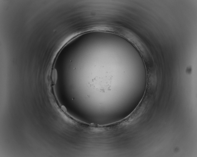 X0000102540852200808081520