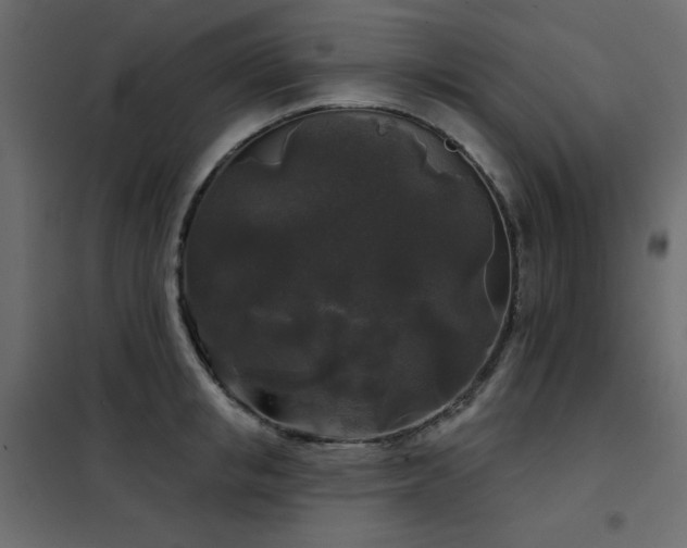 X0000102540853200808081520