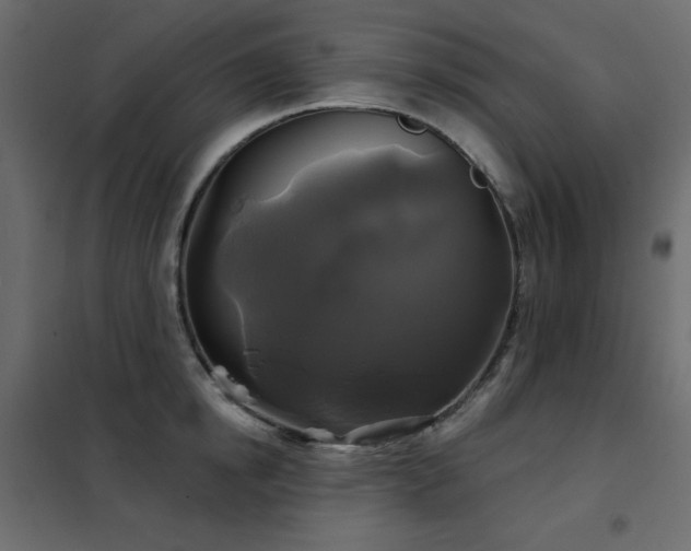 X0000102540854200808081520