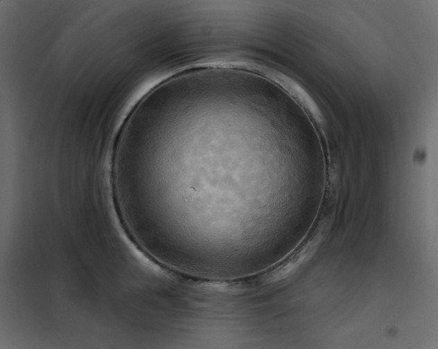 X0000102540855200808081520