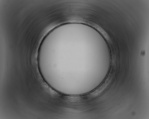 X0000102540856200808081520
