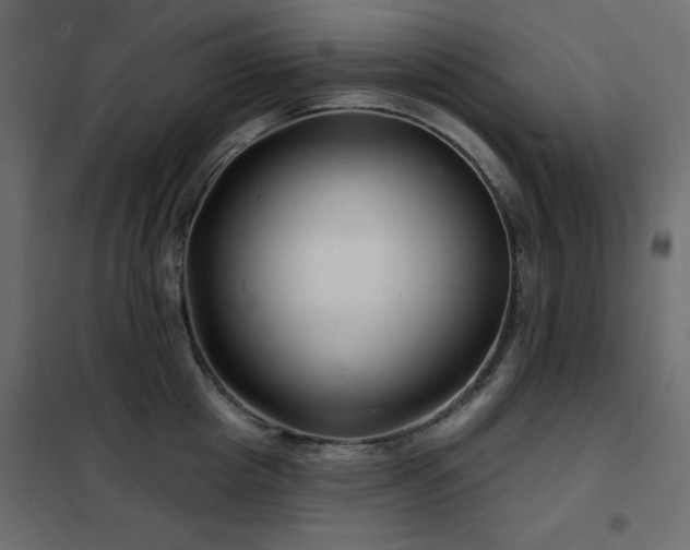 X0000102540857200808081520