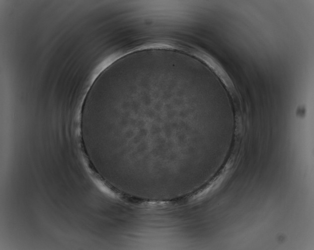 X0000102540858200808081520