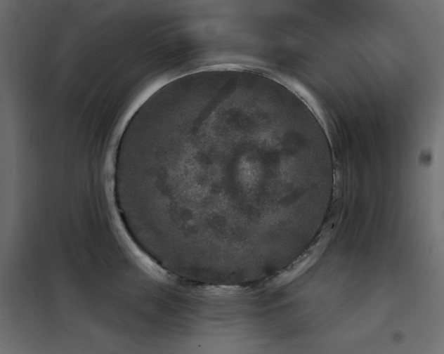 X0000102540859200808081520
