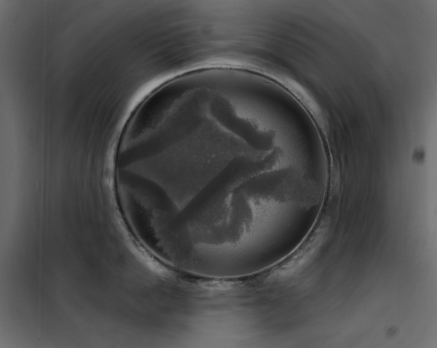 X0000102540862200808081520