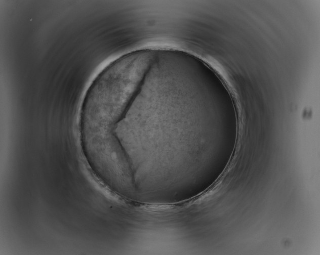 X0000102540864200808081520
